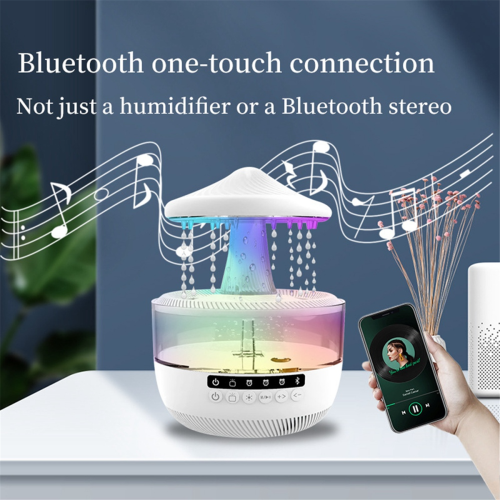 Rain Cloud Humidifier 2