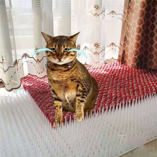 Απωθητικό Spikes Cat Plastic για Πουλιά, Αντιπεριστέρια, Αντι-Πουλιά 2