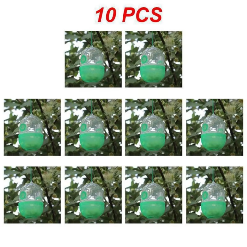 10 pezzi di trappola per vespe e mosche in plastica asiatica da appendere 1