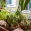 LED Plant Growth Lamp Ring Dimming Timing Adjustable White 2