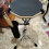 Nylon containertas, drumstokhouder, drumstoktas voor drumset 4