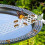 Bee Water Station  Floating Bee Island  AntiFall Folding Feeder for Bees White 2