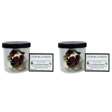 Adopt a Weed Plushie,Jar Funny Plush Desktop Accessories B