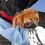 Kick Shuttlecock, Chinese Kick Shuttlecocks, Weighted Shuttlecock Kicking  Kinorgt 2
