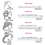 for Loose Rings Ring Silicone Tightener 4 Sizes 2