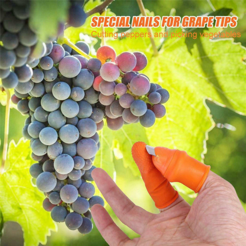 Faca de silicone para jardinagem com dedo para frutas e vegetais - L 2