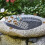 Floating bee ladder, Foldable floating bee waterer, Honeycomb waterer for bees 2