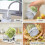 Germination Glasses Set with Stainless Steel Filter Cover  Holder 2
