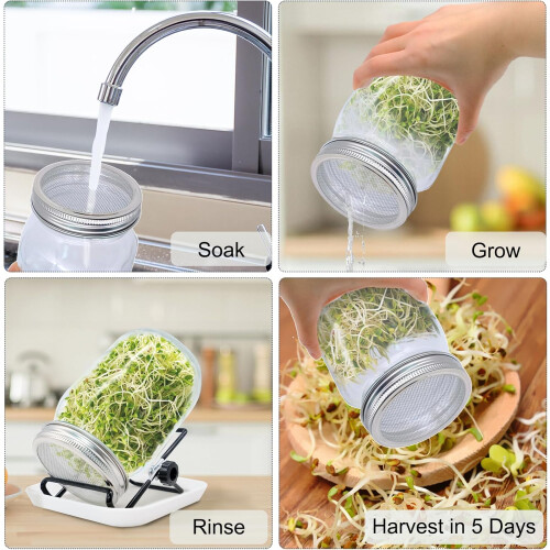 Germination Glasses Set with Stainless Steel Filter Cover  Holder 1