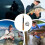 Fishing Accessories for Reservoirs 4