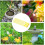 Floating Bee Island  Foldable Water dispenser, floating Water station, floating butterfly Drinking feeder 3