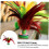 Rooster Feather Shuttlecock Badminton Birdies Colourful Elastic Plastic Base 4