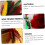 Rooster Feather Shuttlecock Badminton Birdies Colourful Elastic Plastic Base 2