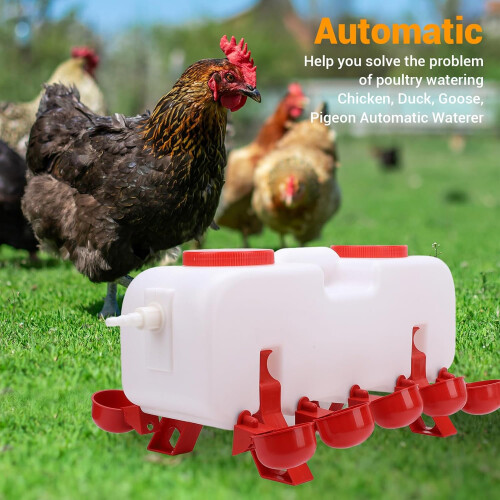 Automatic chicken watering system, Poultry duck watering kits, Tipproof 1