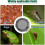 Rain Butt Net Cover with Adjustable Drawstring, Fits Most Standard Water Butt 3