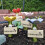 Bee waterer for the garden, ect waterer ceramic, colorful bee drinking cup (red) 2