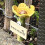 Bee waterer for the garden, ect waterer ceramic, colorful bee drinking cup (red) 4