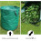 Garden Waste Sacks 3 x 272 L  SelfStanding, Robust  Foldable 4