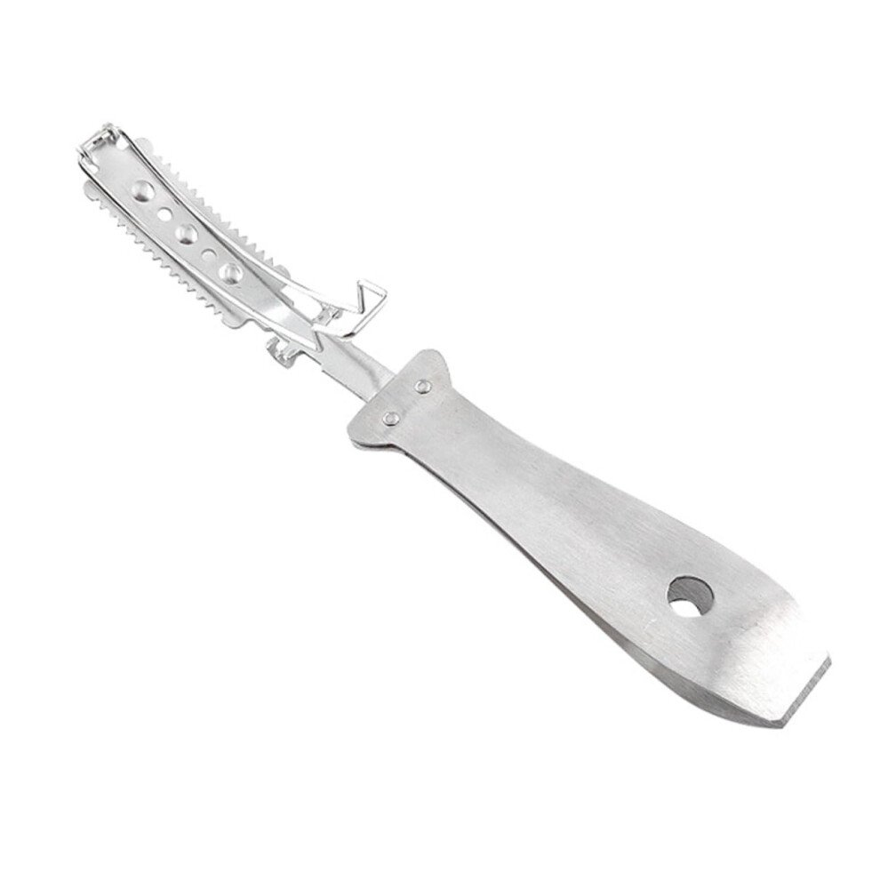 Razor Kitchen Blade Pet Hair Remover Stainless Steel