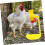 Hanging chicken water bowls 4pack Automatic chicken water cups Poultry PP material 5