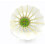 Badminton Birds  Badminton Ruffles in Duck Feathers with Good Stability 5