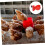 Automatic Drinking Bowls Small Chicken Drinker Poultry Water Dispenser 3