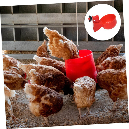 Automatic Drinking Bowls Small Chicken Drinker Poultry Water Dispenser 2