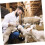 Automatic Cow Drinker Steel Water Dispenser for Sheep Livestock 4