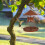 AntiSquirrel Birdhouse, SquirrelProof Bird Feeder, Decorative for Outdoors Ref: 2224 5