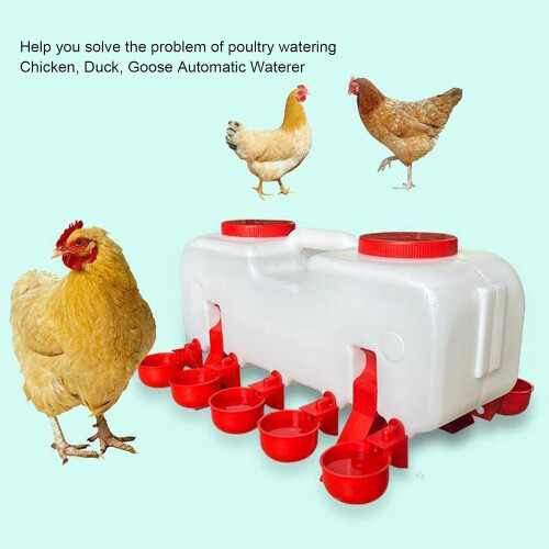 Automatic Chicken Drinker, 10L Poultry Water Dispenser with Cups, Float 1