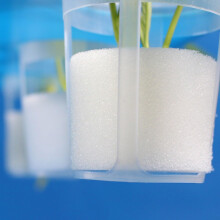 Enhance your garden game with 50 ventilated plant baskets for ground cultivation.