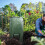 Compostable food waste bags, compost bin, environmentally friendly PE material bag 3