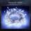 (Silver Line, 2000 lights 30 meters transformer remote control model [customized]) LED copper wire firecracker light string plug-in model creative centipede super bright lights Christmas light belt decoration 1