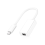 Câble convertisseur USB-C vers Thunderbolt 2 pour appareils 1