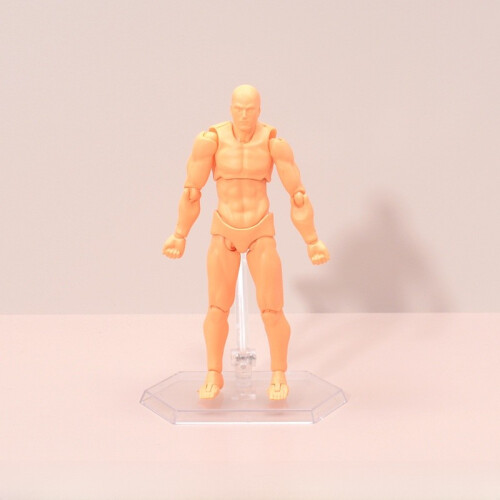 (Male Skin ) Figma Figure Action Male Female Pvc Model For Drawing ...