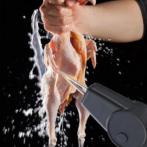 Electric Chicken Defeathered 2