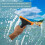 Silicone Window Squeegee, 2 Pieces for Car Windows, Mirrors, Glass (Black2Pack) 2