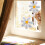Rainbow Window Film for Stops Birds Flying in Windows 3