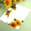SelfAdhesive Small Rectangular Plastic Mirror Tiles for DIY Craftsmanship (16 x 10 cm) 3