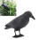 Crow Decoy Archery Target PE 3D Standing Crow 11