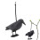 Crow Decoy Archery Target PE 3D Standing Crow 12