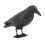 Crow Decoy Archery Target PE 3D Standing Crow 9