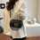 Swallow bag women's one-shoulder crossbody bag saddle bag 5