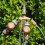 Brass Garden Hose Connector 4 Outlet Distributor Water Flow Adjustable And 5