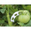 2025 Latest Model  SL.GT,100Pcs Tomato Elbow Clips Prevent Plant Stems from Bending 1