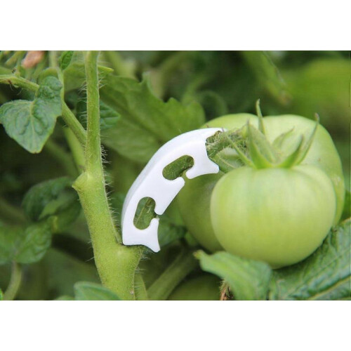 2025 Latest Model  SL.GT,100Pcs Tomato Elbow Clips Prevent Plant Stems from Bending