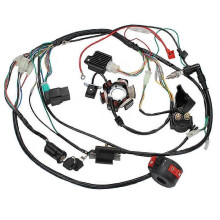 Full Complete Electrics Wiring Harness CDI STATOR 6 Coil for 50-125CC