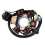 Full Complete Electrics Wiring Harness CDI STATOR 6 Coil for 50-125CC 4