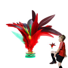 Jianzi Shuttlecock, Chinese Shuttlecock, Colourful Feather, Sports Equipment for Indoor, Outdoor Game