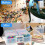 Portable Photo Storage Boxes,With 16 Interior Compartments 2